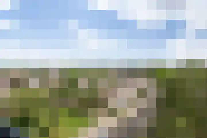 Hudsonlaan 104 's-Hertogenbosch thumbnail 23