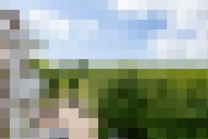 Hudsonlaan 104 's-Hertogenbosch thumbnail 24