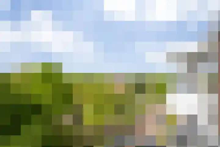 Hudsonlaan 104 's-Hertogenbosch thumbnail 25