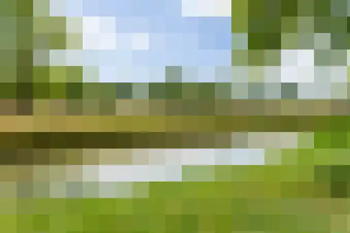Hudsonlaan 104 's-Hertogenbosch thumbnail 30