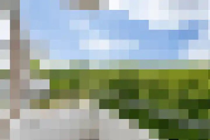 Hudsonlaan 104 's-Hertogenbosch thumbnail 6