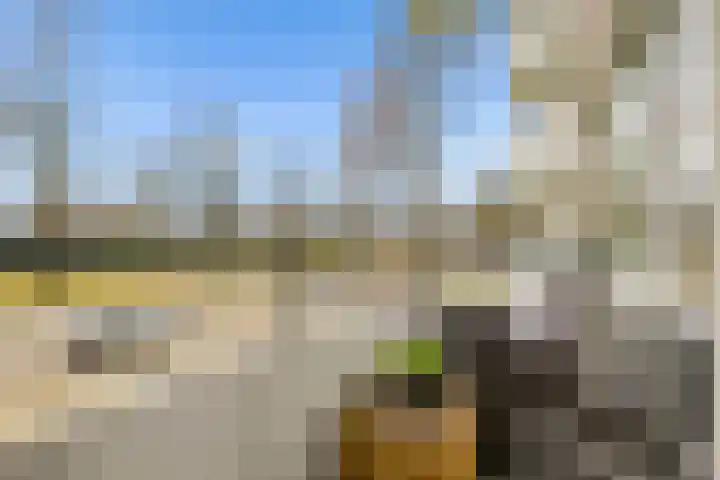 Hudsonlaan 116 's-Hertogenbosch thumbnail 16