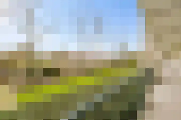 Hudsonlaan 116 's-Hertogenbosch thumbnail 26