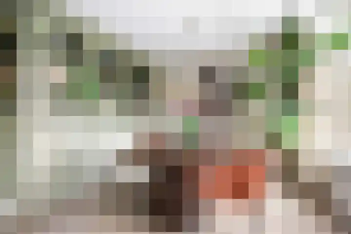 Hudsonlaan 122 's-Hertogenbosch thumbnail 19