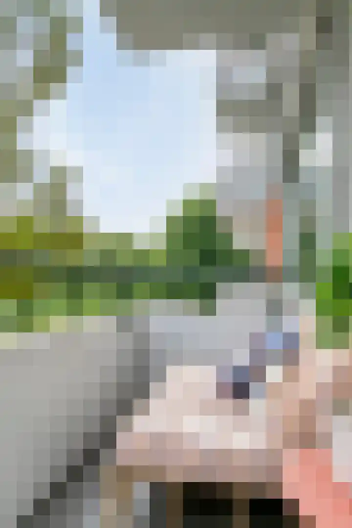 Hudsonlaan 122 's-Hertogenbosch thumbnail 36