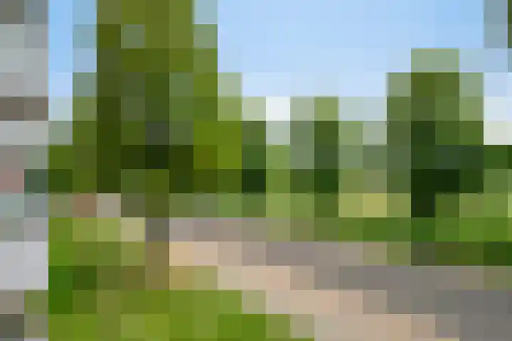 Hudsonlaan 122 's-Hertogenbosch thumbnail 38