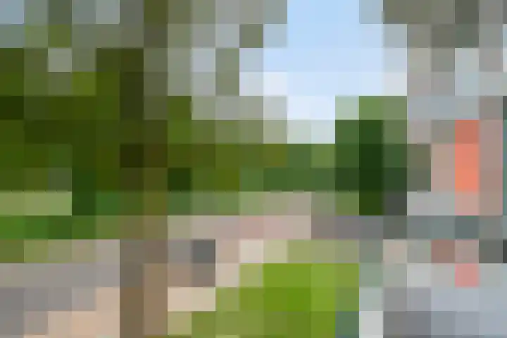 Hudsonlaan 122 's-Hertogenbosch thumbnail 39