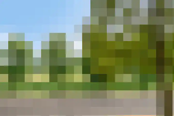 Hudsonlaan 122 's-Hertogenbosch thumbnail 40