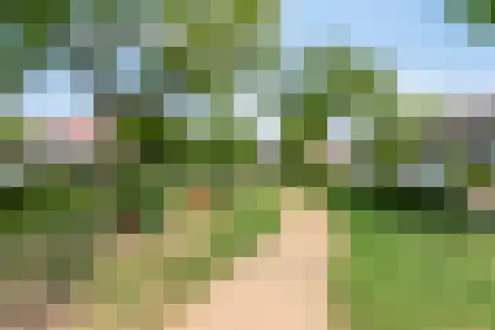 Hudsonlaan 122 's-Hertogenbosch thumbnail 41