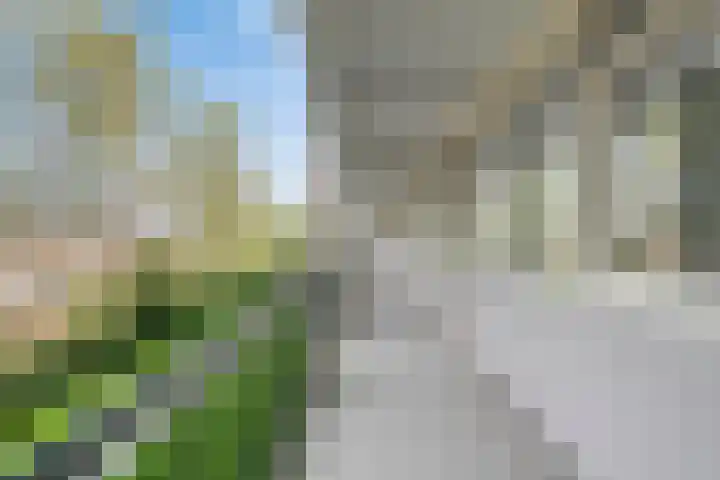 Hudsonlaan 122 's-Hertogenbosch thumbnail 7