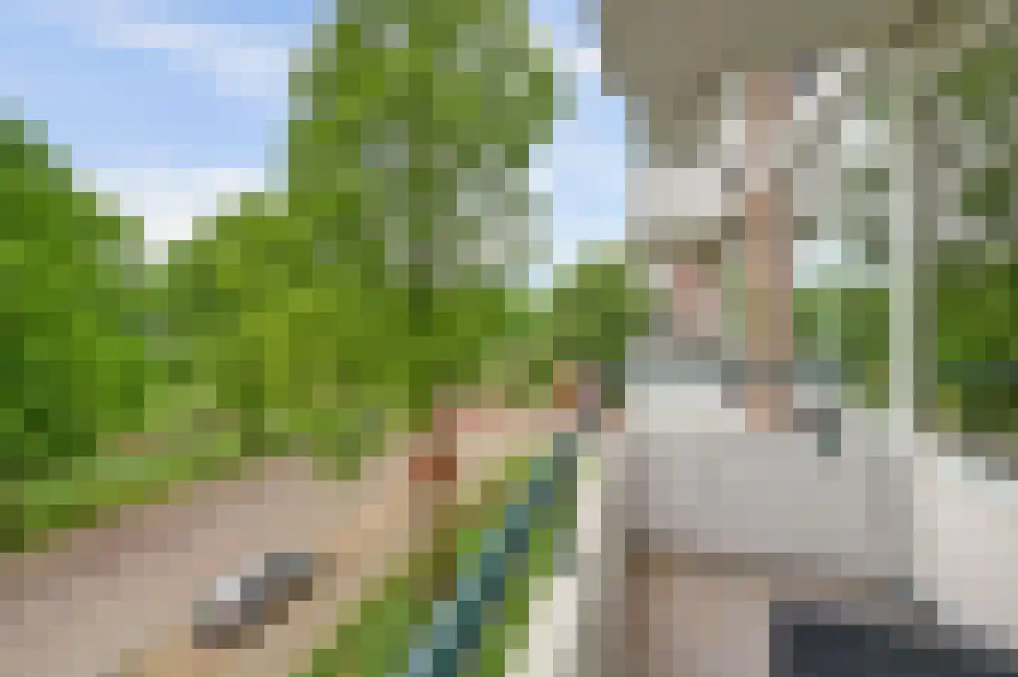 Hudsonlaan 134 's-Hertogenbosch thumbnail 16