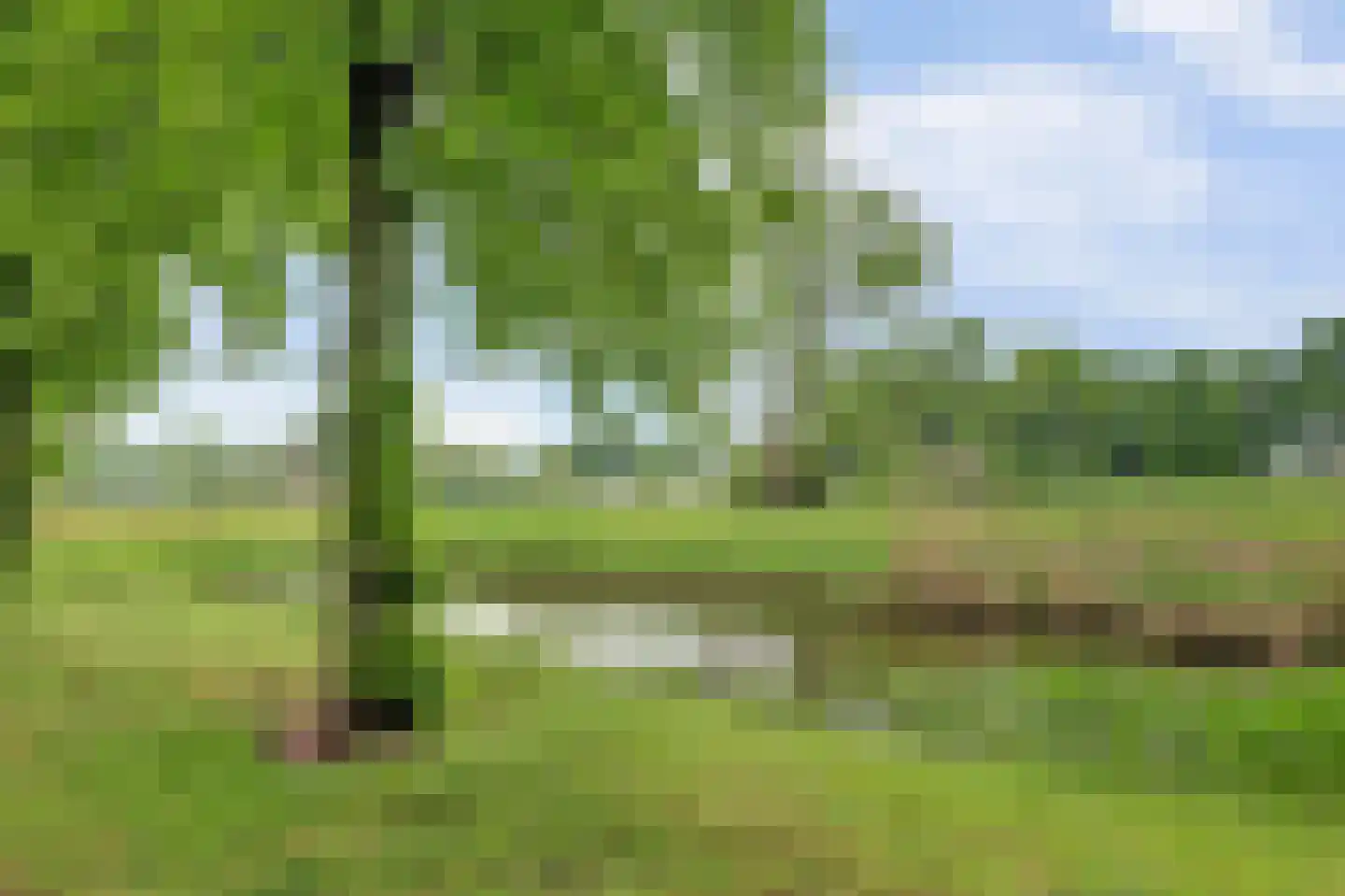 Hudsonlaan 134 's-Hertogenbosch thumbnail 36