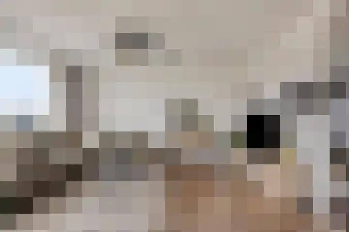 Hudsonlaan 142 's-Hertogenbosch thumbnail 10