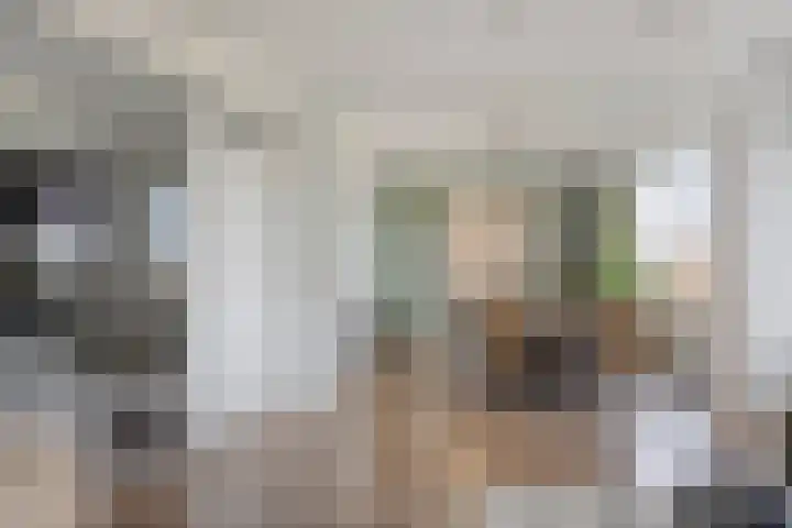 Hudsonlaan 142 's-Hertogenbosch thumbnail 15