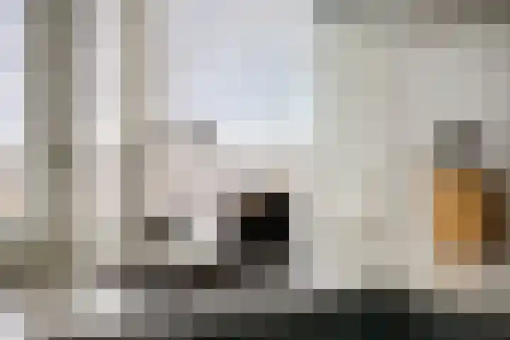 Hudsonlaan 142 's-Hertogenbosch thumbnail 30