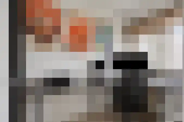 Hudsonlaan 142 's-Hertogenbosch thumbnail 37