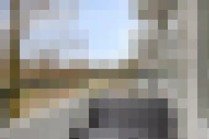 Hudsonlaan 142 's-Hertogenbosch thumbnail 38
