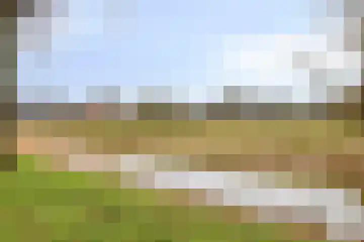 Hudsonlaan 142 's-Hertogenbosch thumbnail 41