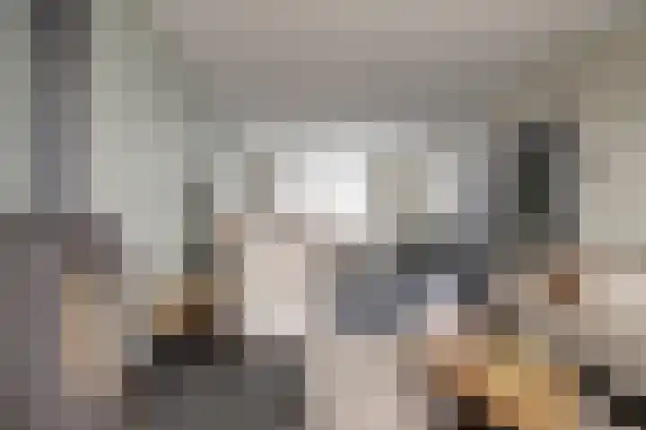 Hudsonlaan 4 Gouda thumbnail 10