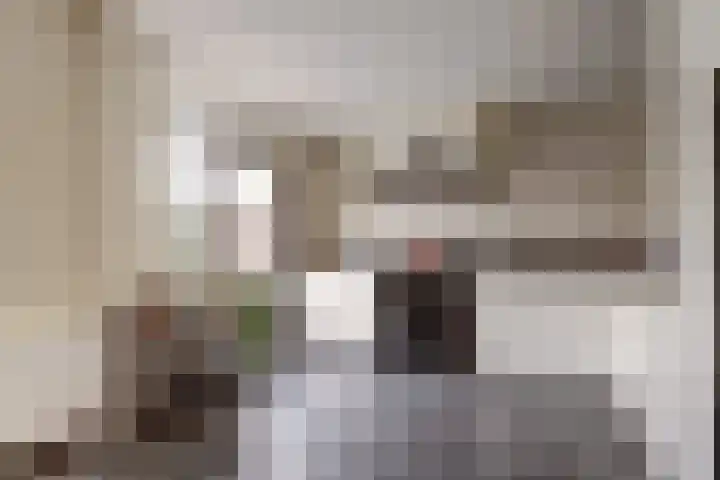 Hudsonlaan 4 Gouda thumbnail 13