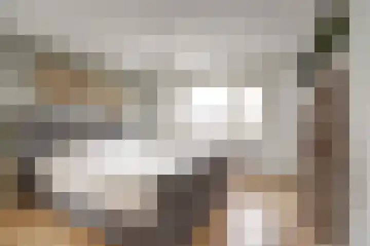 Hudsonlaan 4 Gouda thumbnail 18