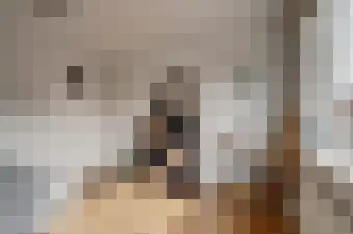 Hudsonlaan 4 Gouda thumbnail 21