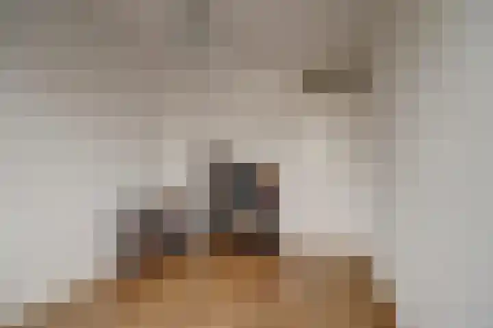 Hudsonlaan 4 Gouda thumbnail 23