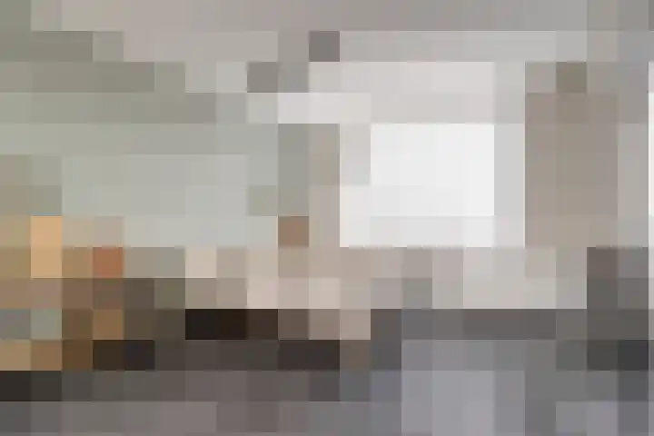 Hudsonlaan 4 Gouda thumbnail 4