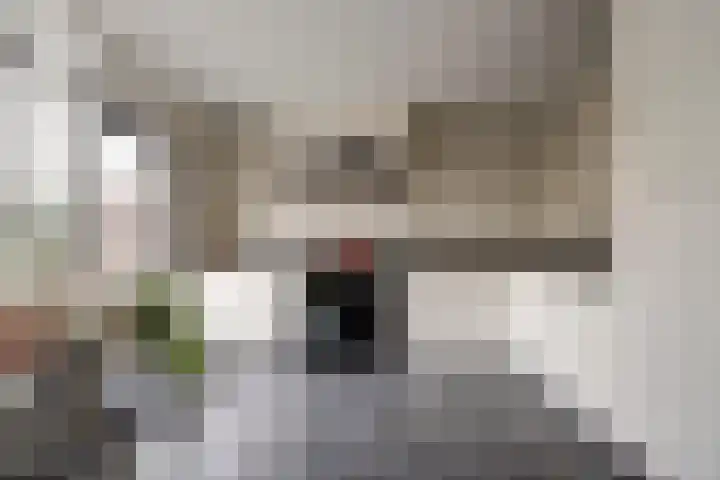 Hudsonlaan 4 Gouda thumbnail 5