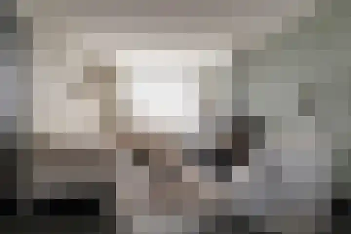 Hudsonlaan 4 Gouda thumbnail 9