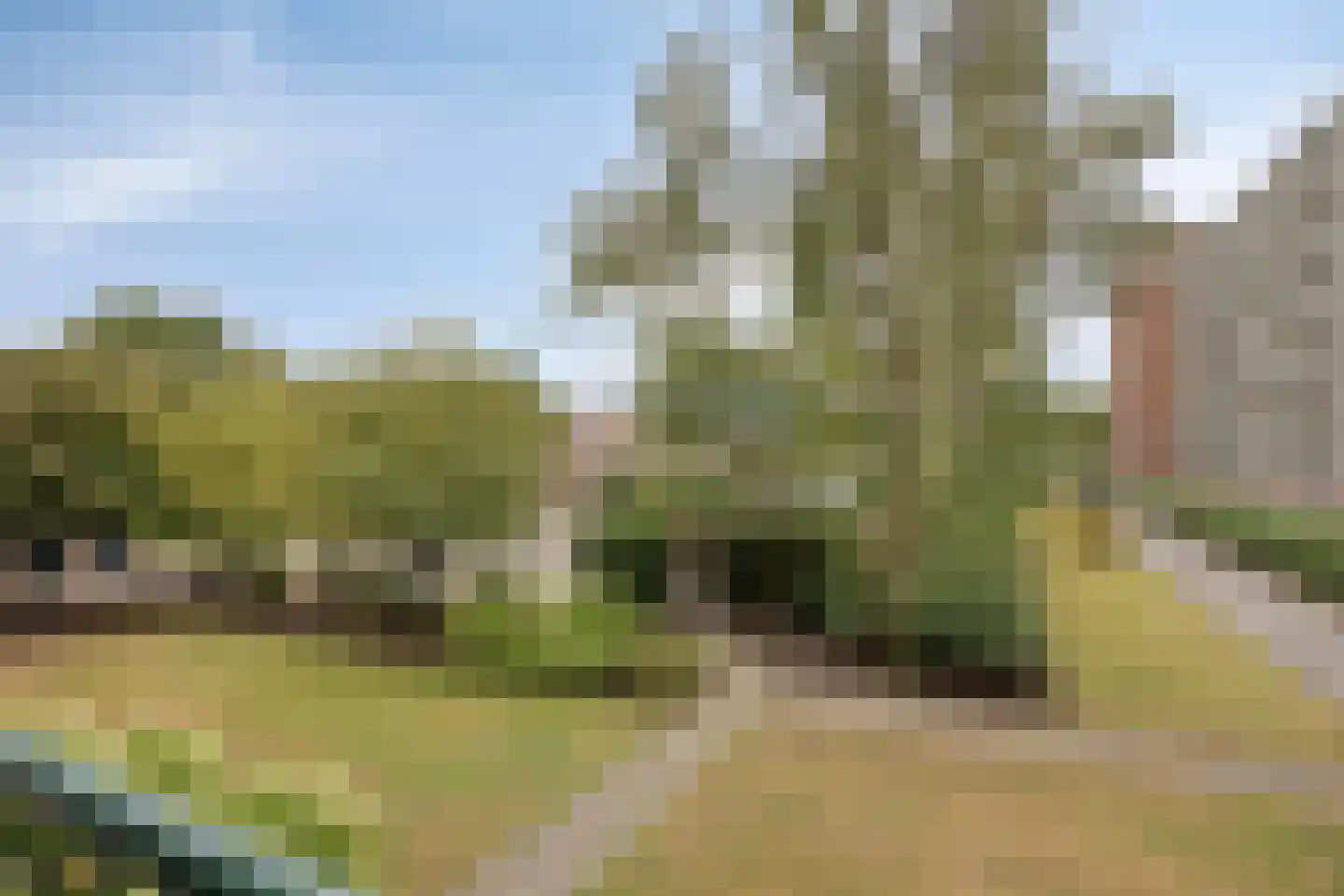 Hudsonlaan 84 's-Hertogenbosch thumbnail 20