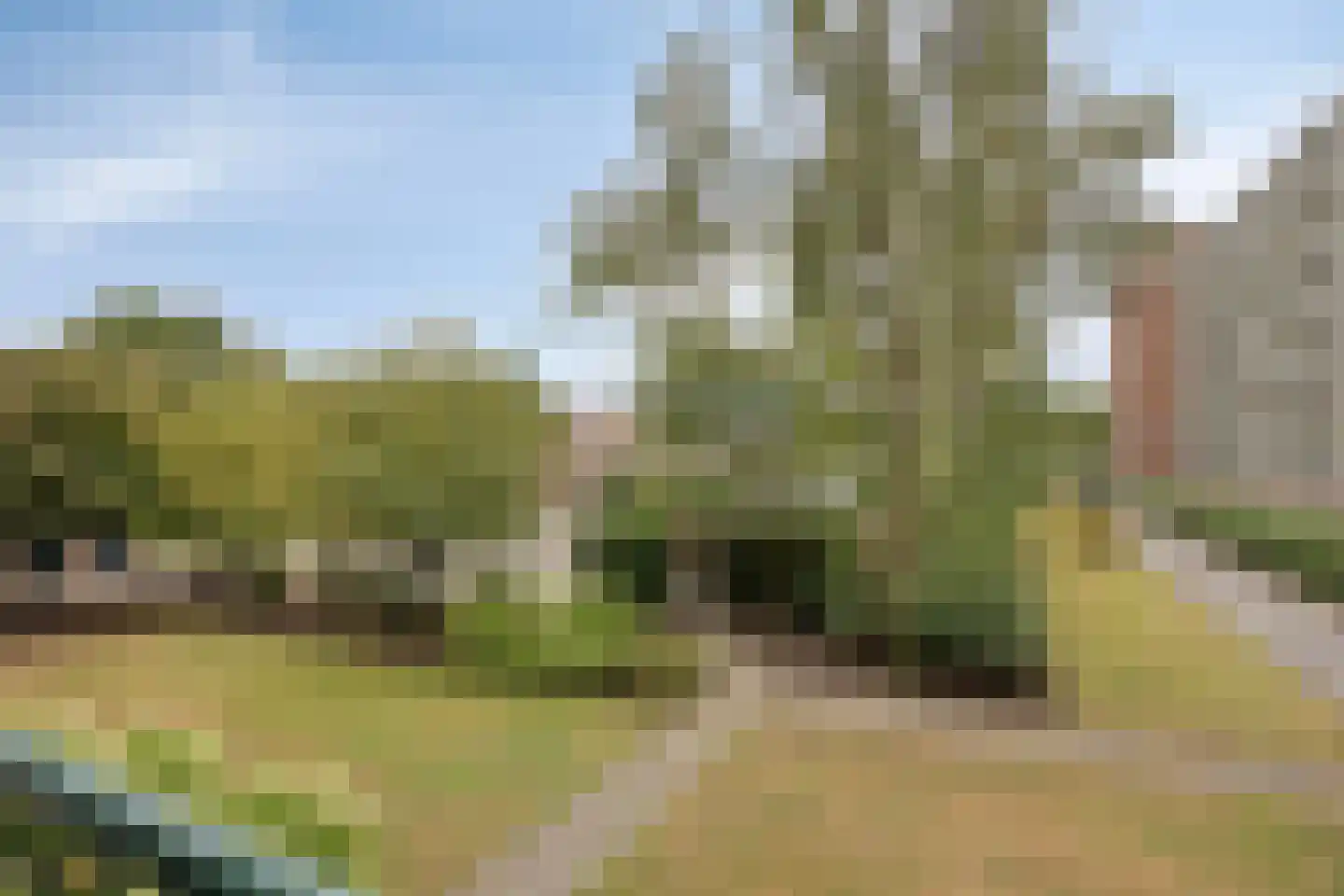 Hudsonlaan 84 's-Hertogenbosch thumbnail 20