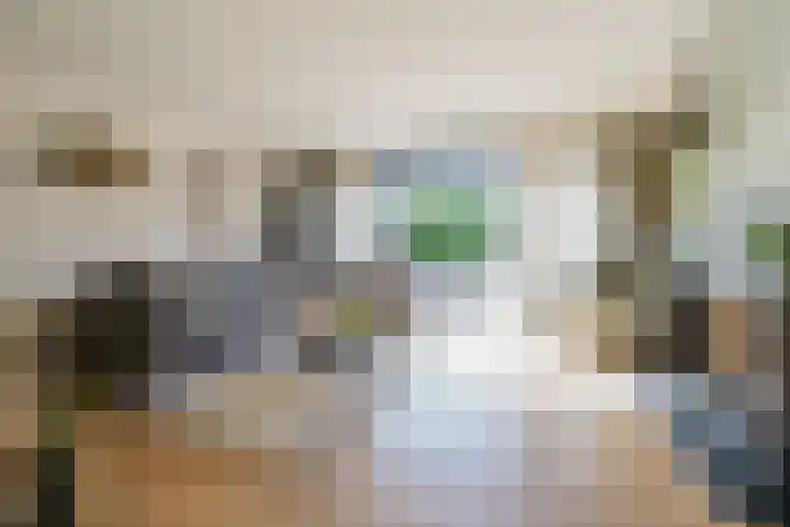 Hudsonpad 26 Spijkenisse thumbnail 12