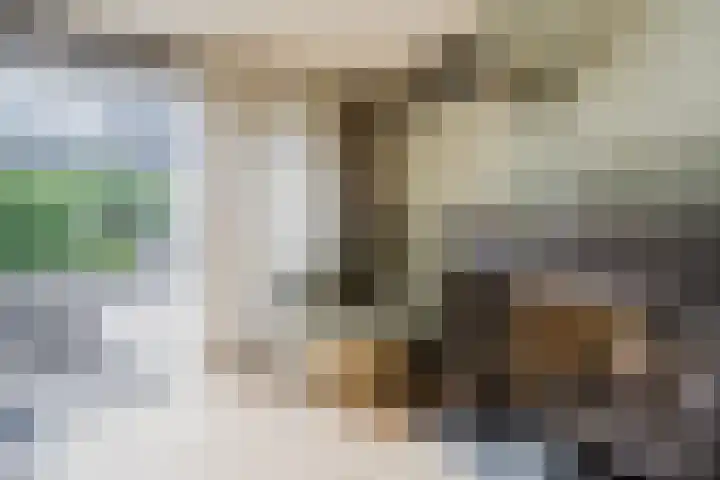 Hudsonpad 26 Spijkenisse thumbnail 13