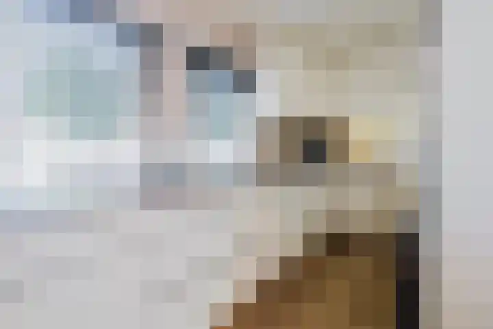 Hudsonpad 26 Spijkenisse thumbnail 16