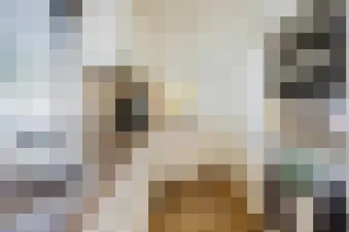 Hudsonpad 26 Spijkenisse thumbnail 17