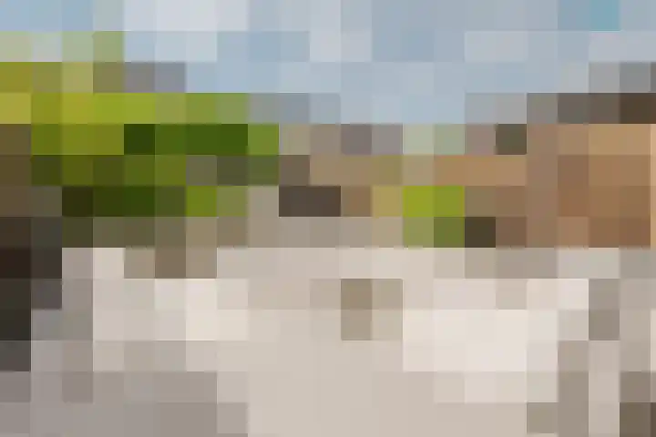 Hudsonpad 26 Spijkenisse thumbnail 18