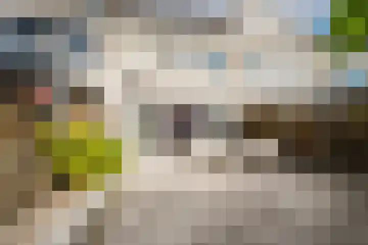 Hudsonpad 26 Spijkenisse thumbnail 19