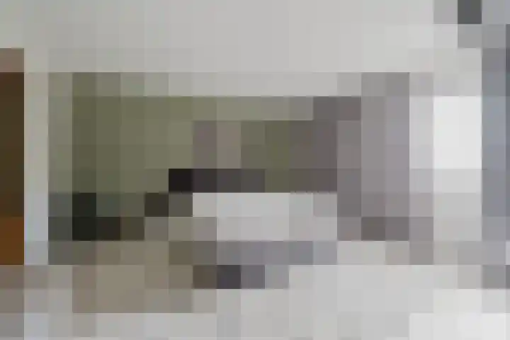 Hudsonpad 26 Spijkenisse thumbnail 21