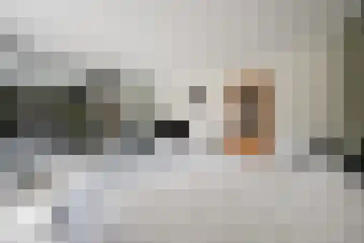 Hudsonpad 26 Spijkenisse thumbnail 23