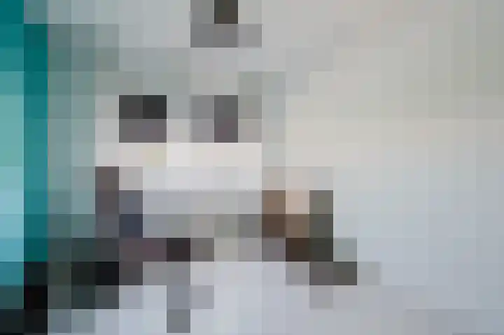 Hudsonpad 26 Spijkenisse thumbnail 25