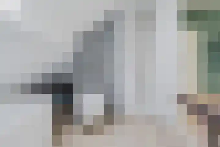 Hudsonpad 26 Spijkenisse thumbnail 29