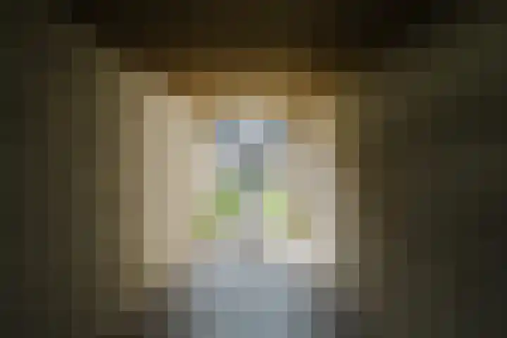 Hudsonpad 26 Spijkenisse thumbnail 34