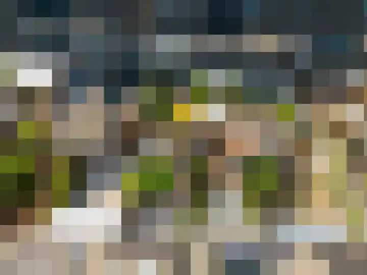 Hudsonpad 26 Spijkenisse thumbnail 7