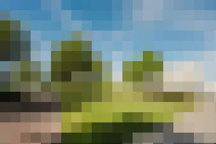 Hudsonpad 26 Spijkenisse thumbnail 8