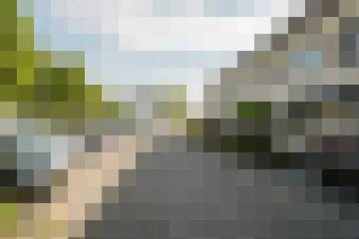 Hudsonpad 26 Spijkenisse thumbnail 9