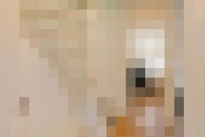 Hudsonring 1 Drunen thumbnail 15