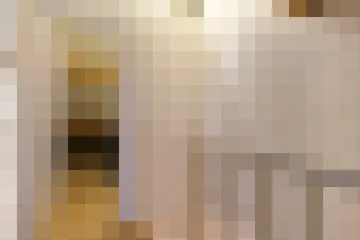 Hudsonring 1 Drunen thumbnail 23