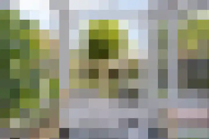 Hudsonring 58 Drunen thumbnail 18