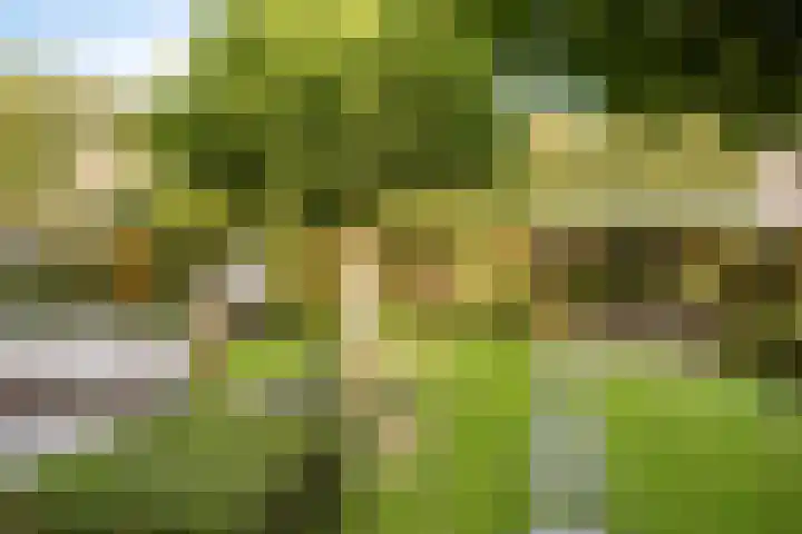 Hudsonring 58 Drunen thumbnail 36